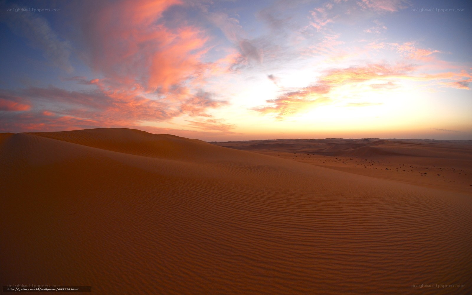 Desert dunes at sunset