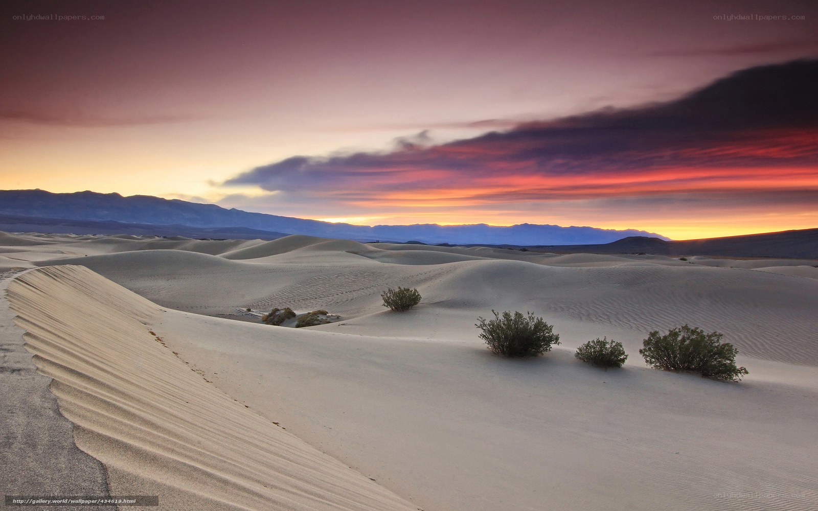 Desert dunes at sunset