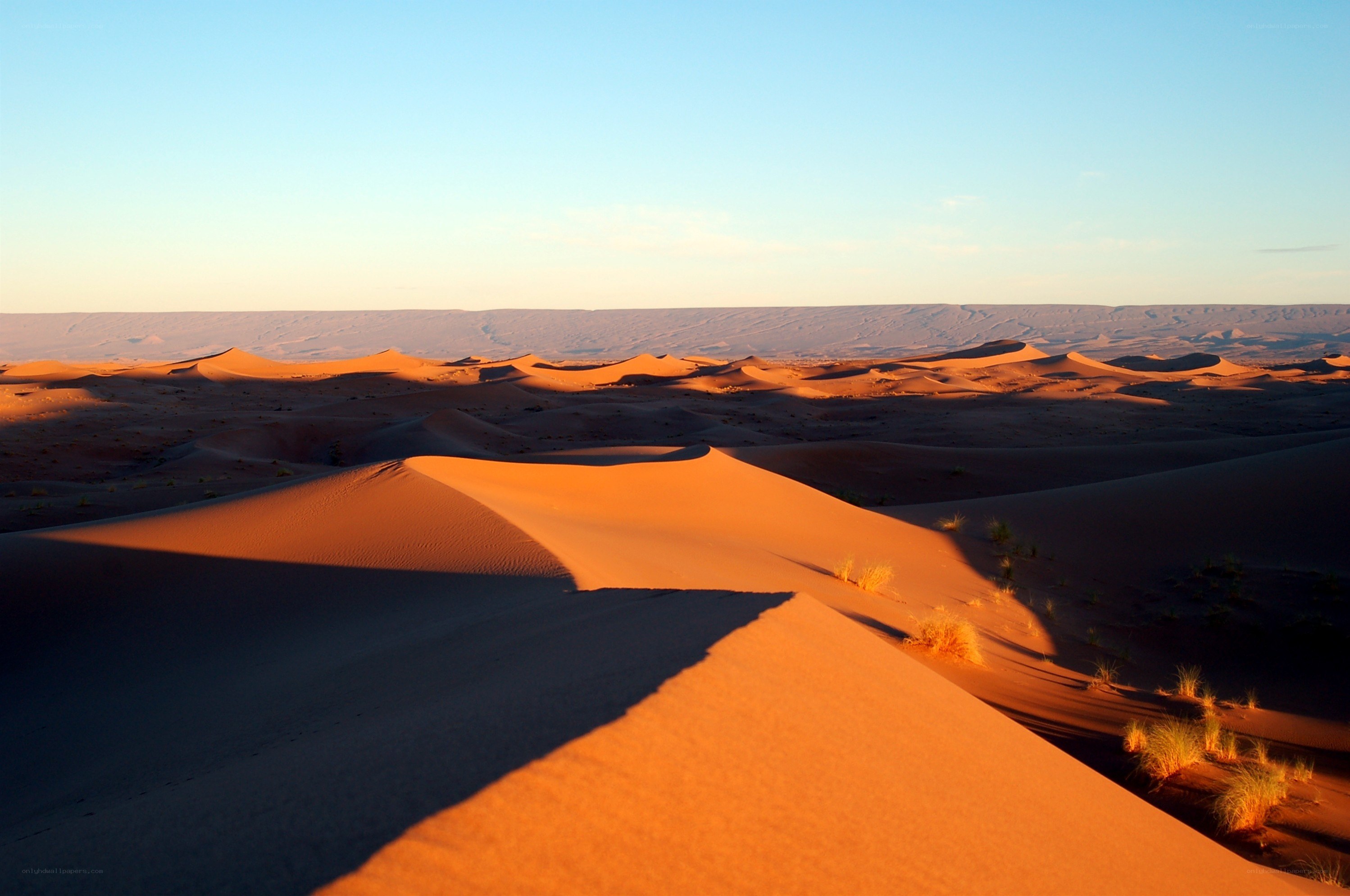 Desert dunes at sunset