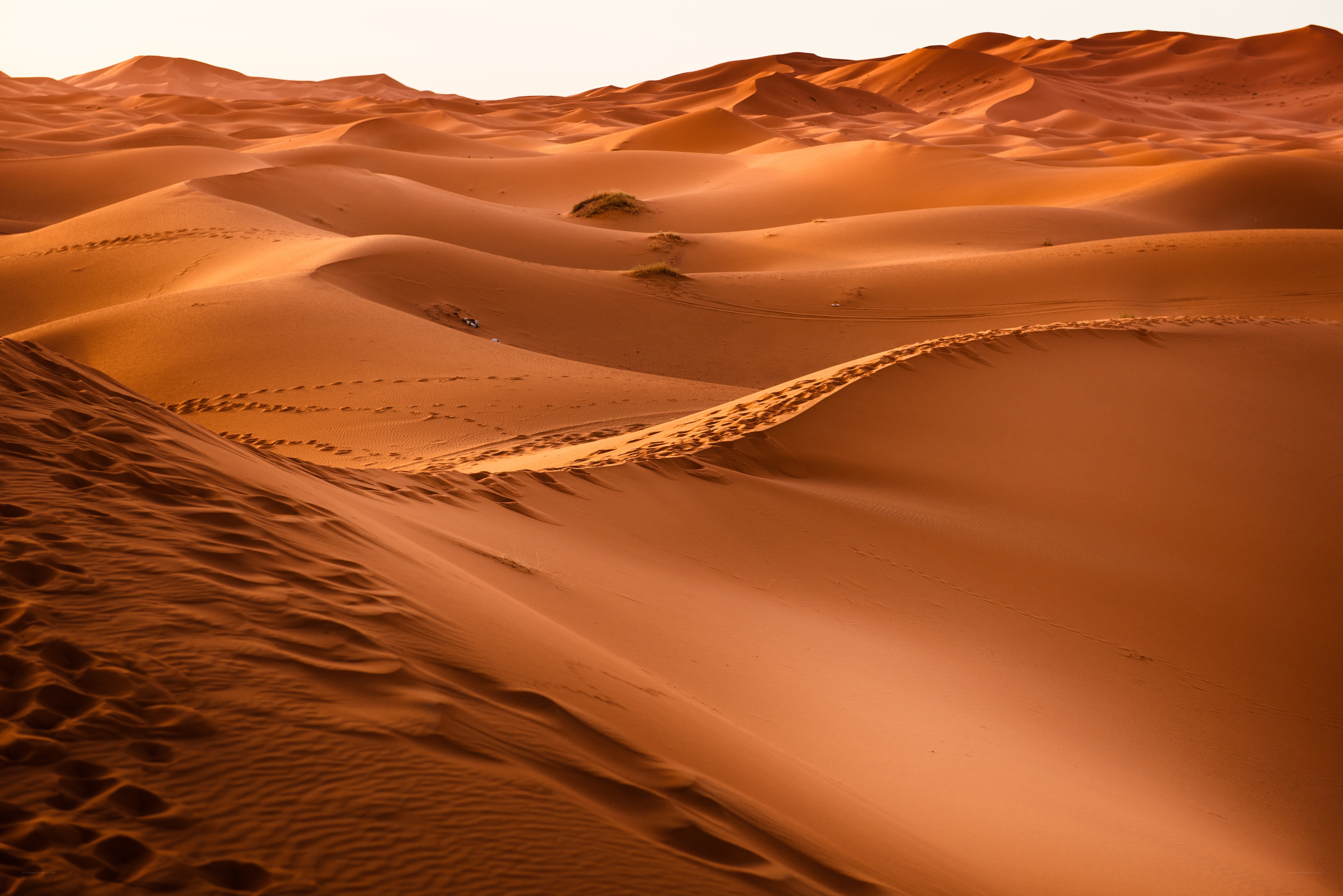 Desert dunes at sunset