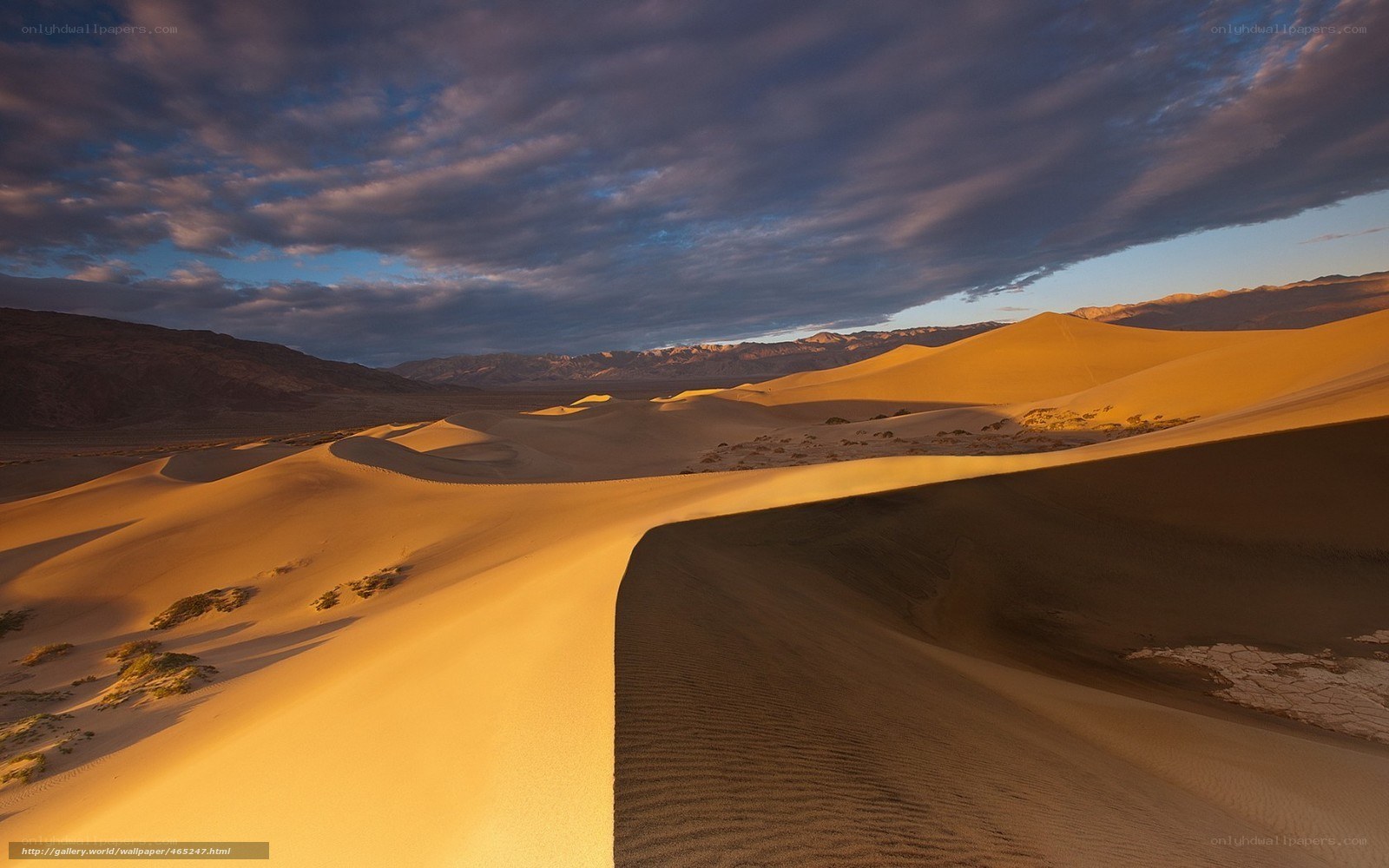 Desert dunes at sunset