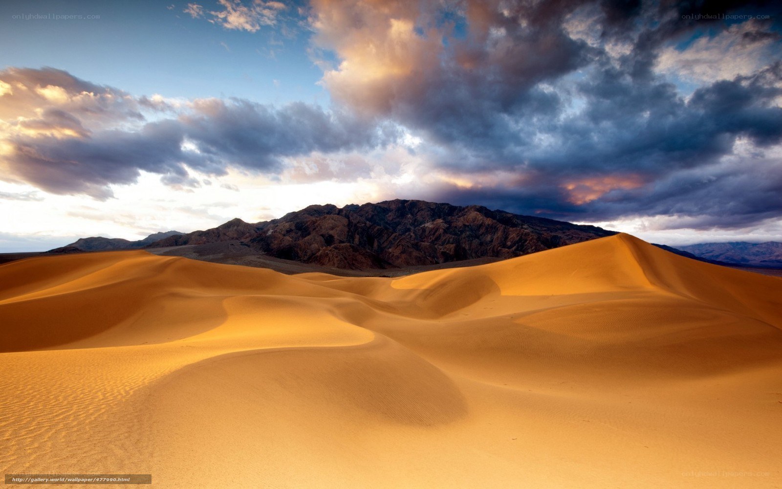Desert dunes at sunset