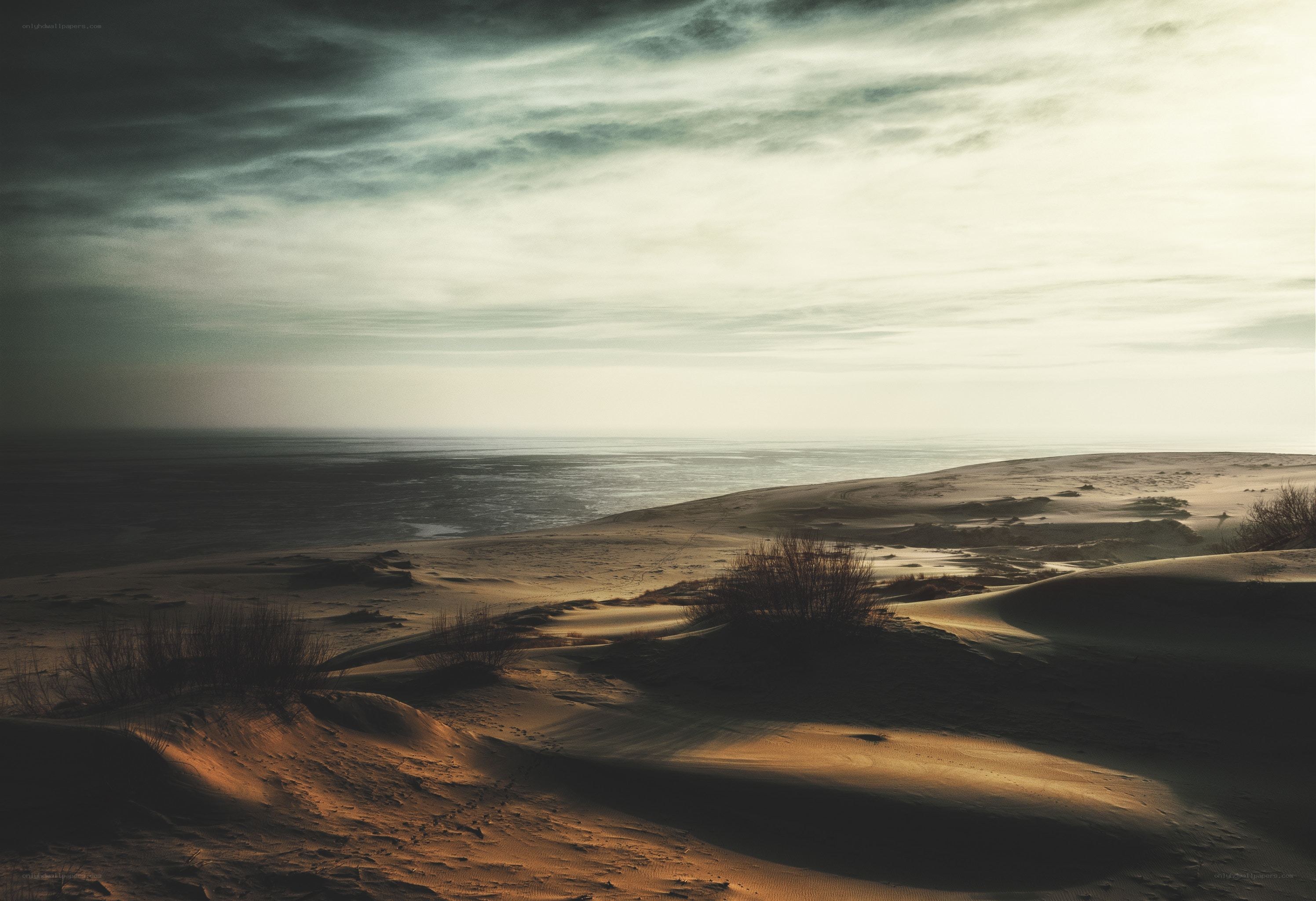 Desert dunes at sunset