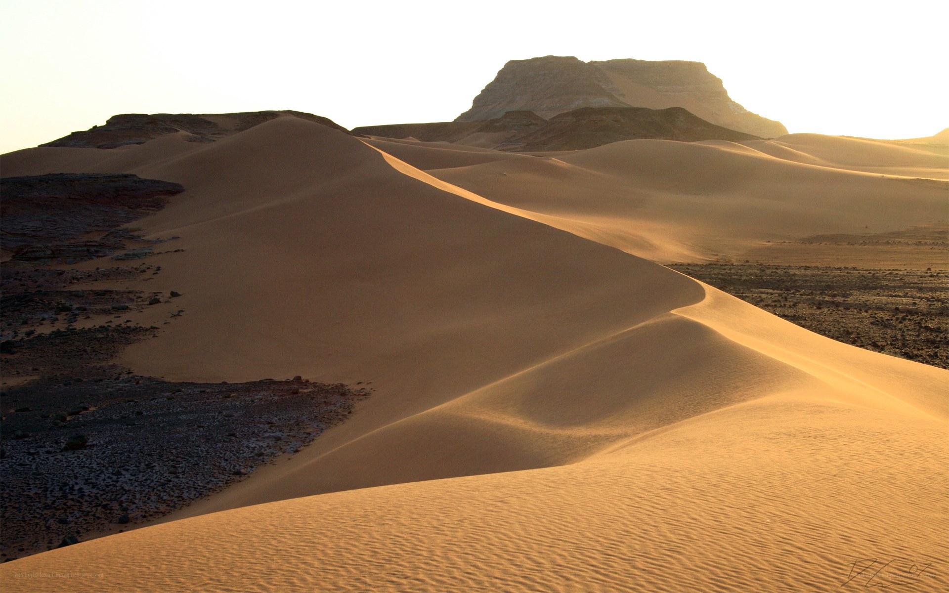 Desert dunes at sunset