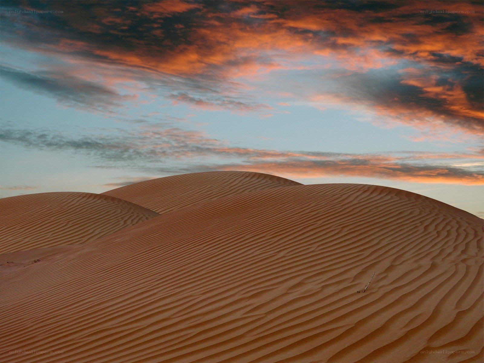 Desert dunes at sunset