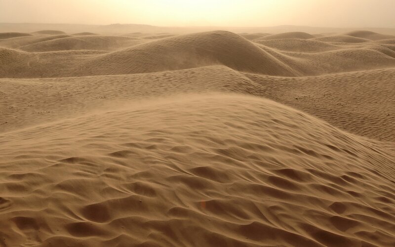 Desert dunes at sunset