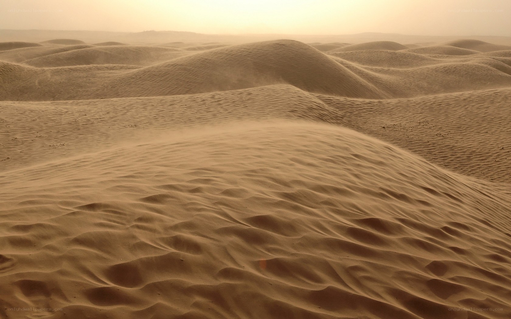 Desert dunes at sunset