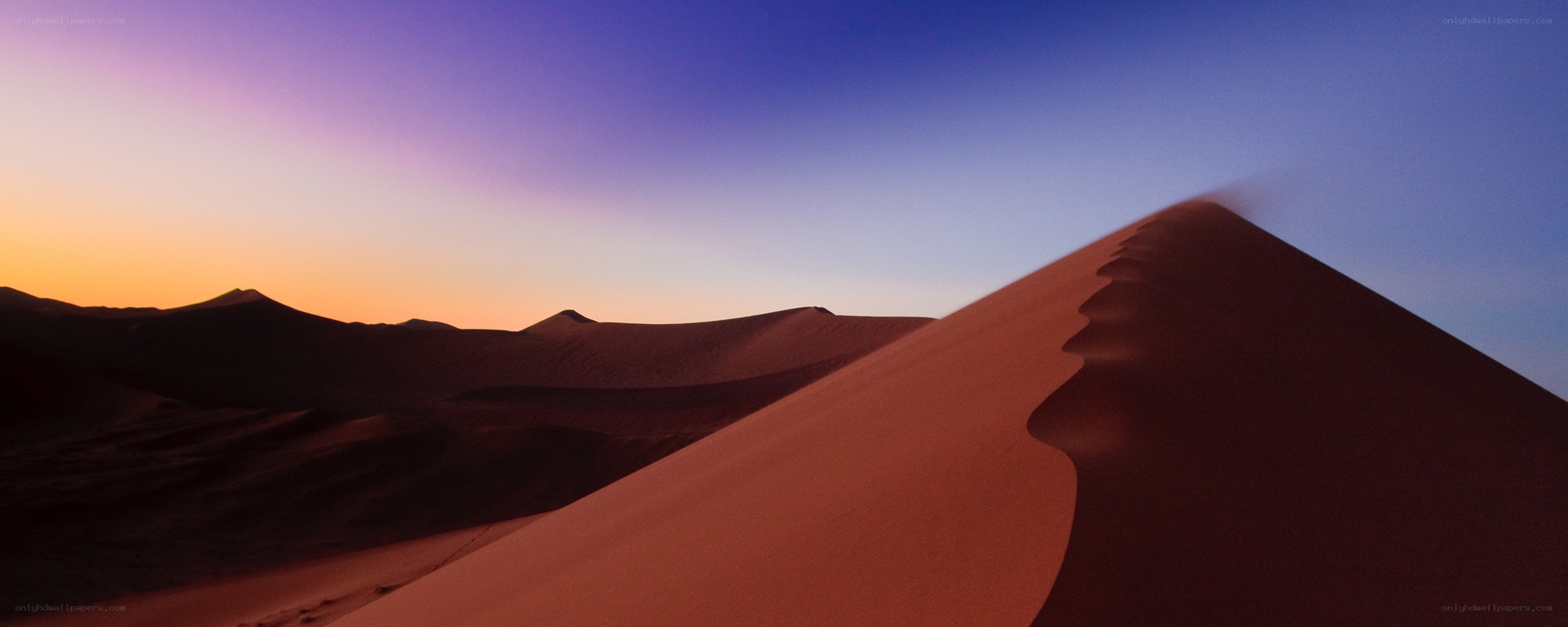 Desert dunes at sunset