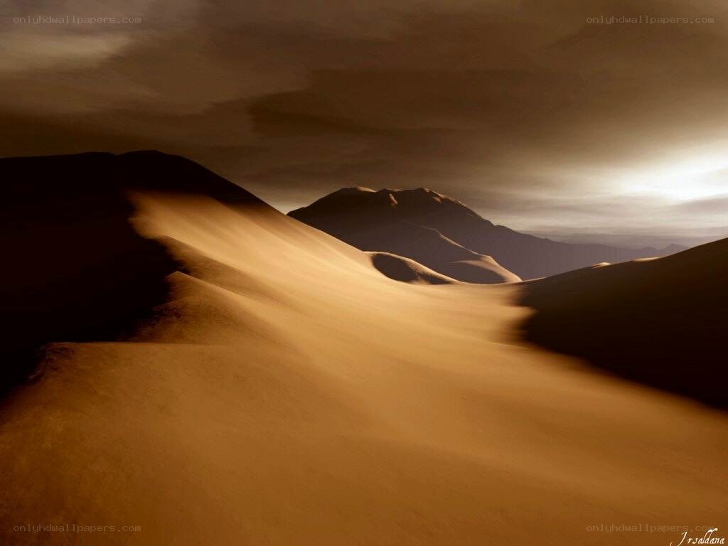 Desert dunes at sunset