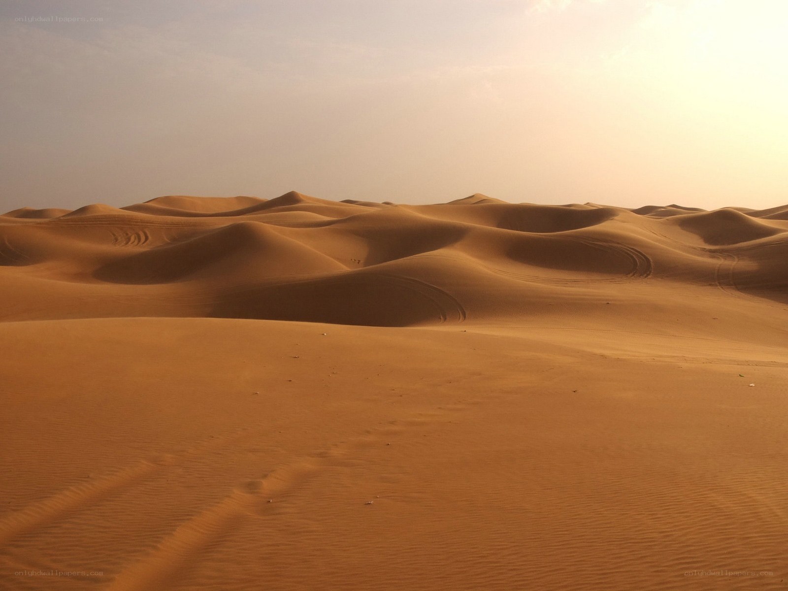 Desert dunes at sunset