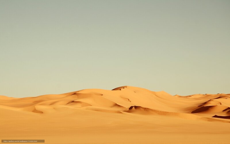 Desert dunes at sunset