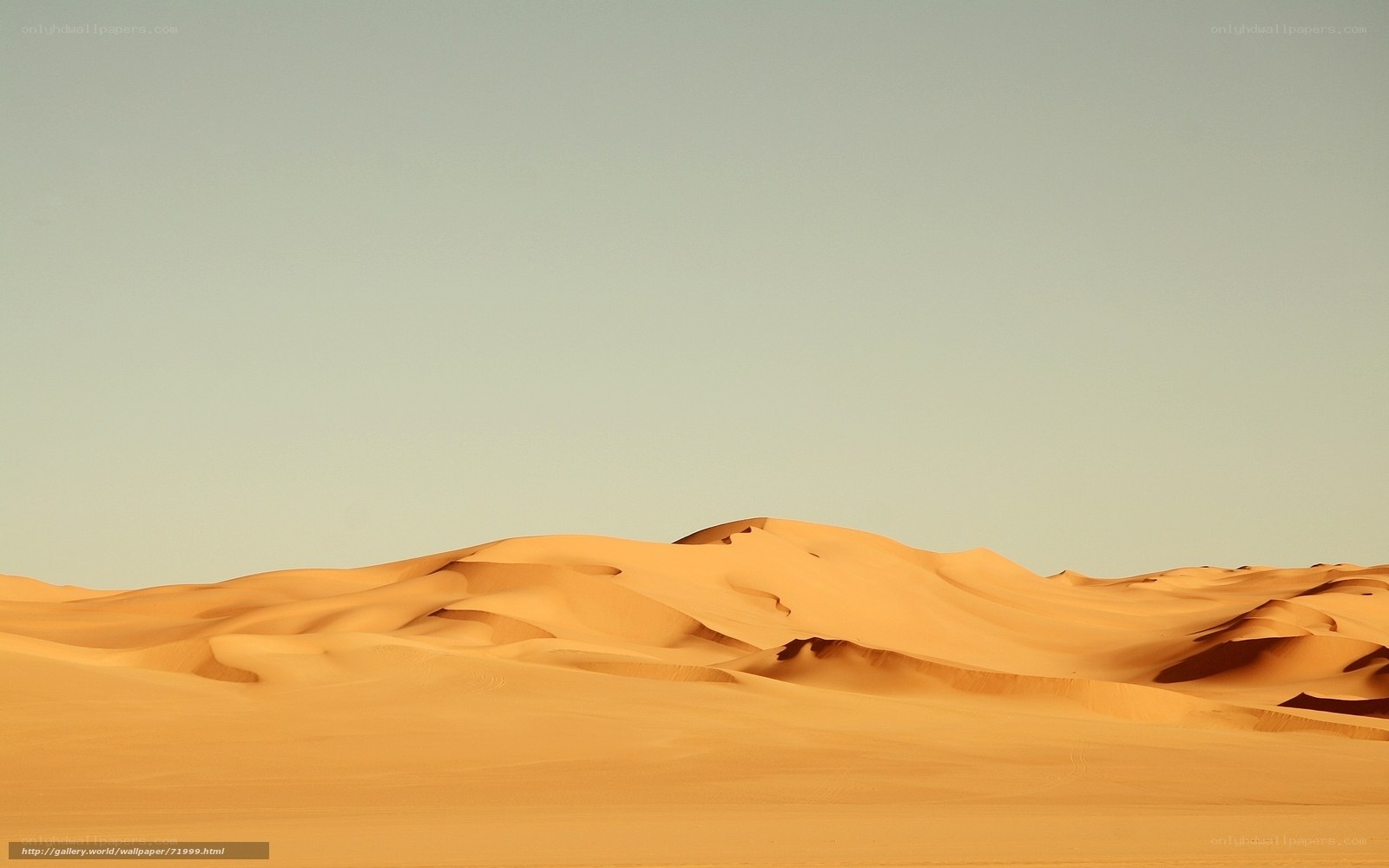 Desert dunes at sunset