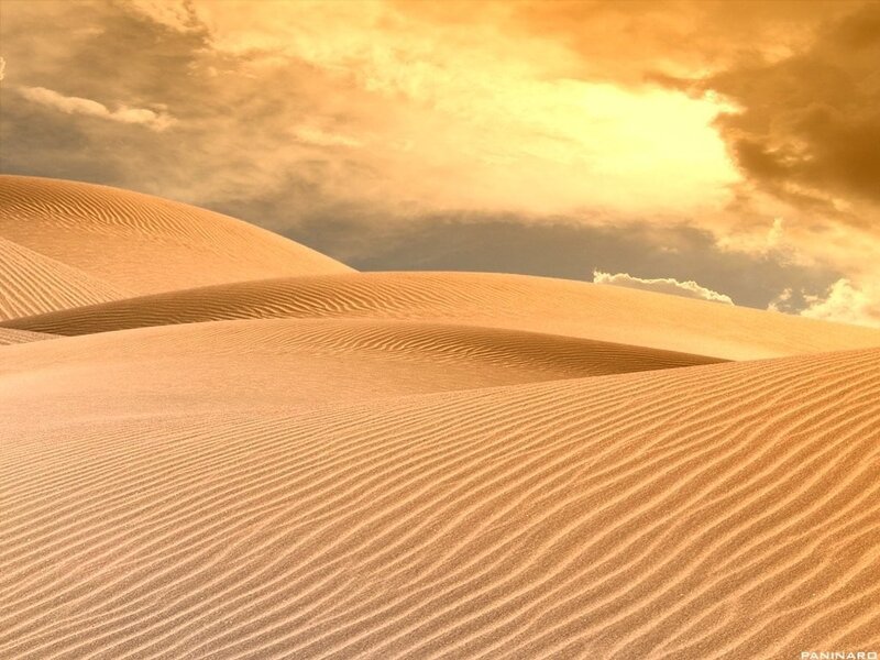 Desert dunes at sunset