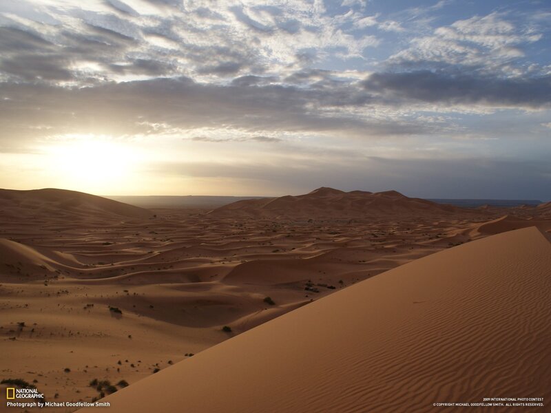 Desert Dunes at Sunset