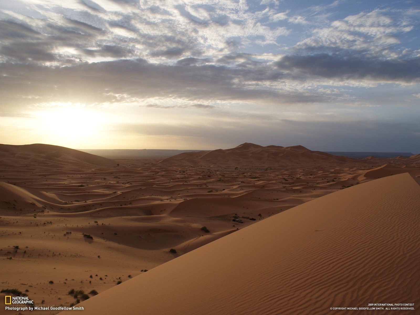 Desert Dunes at Sunset