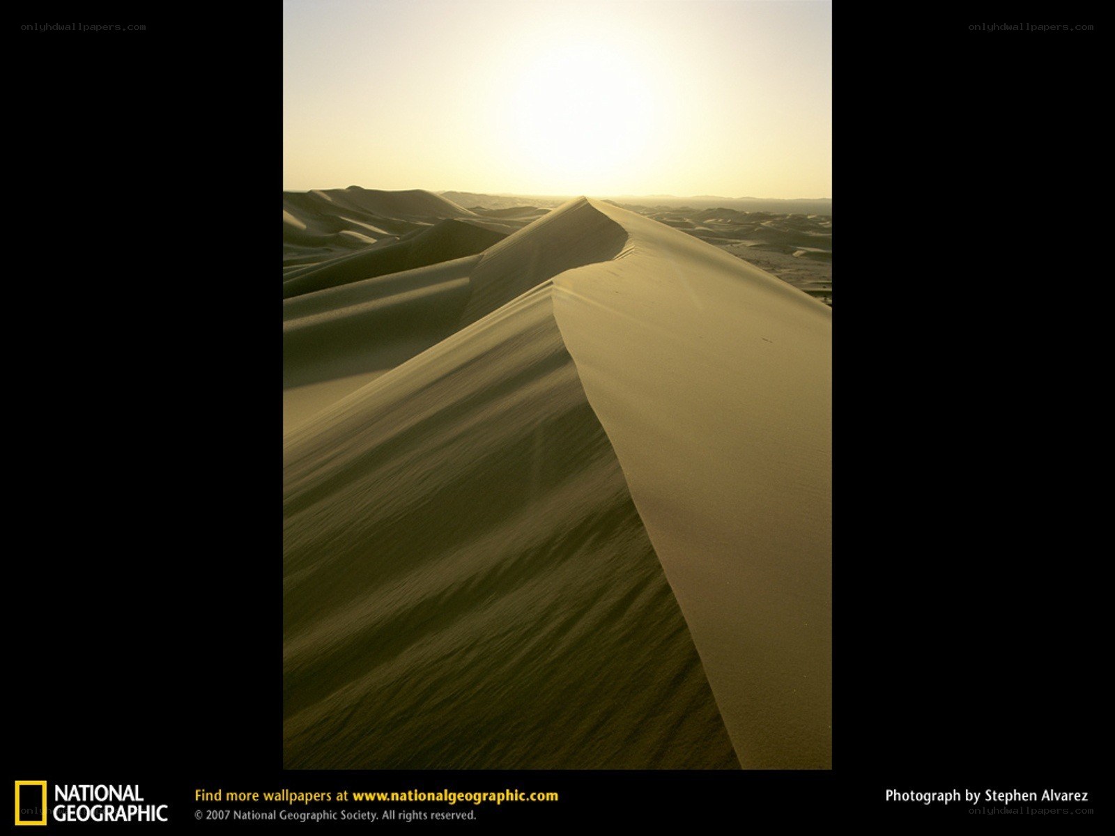 Desert dunes at sunset
