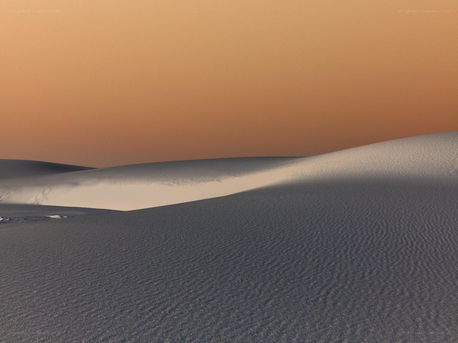Desert dunes at sunset