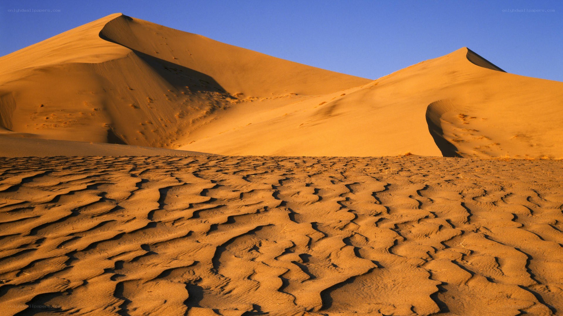 Desert dunes at sunset