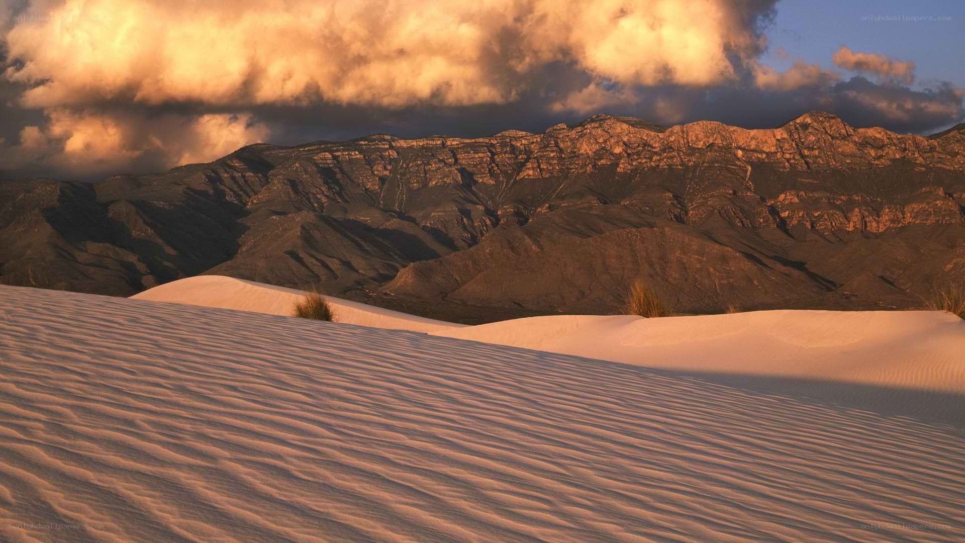 Desert dunes at sunset
