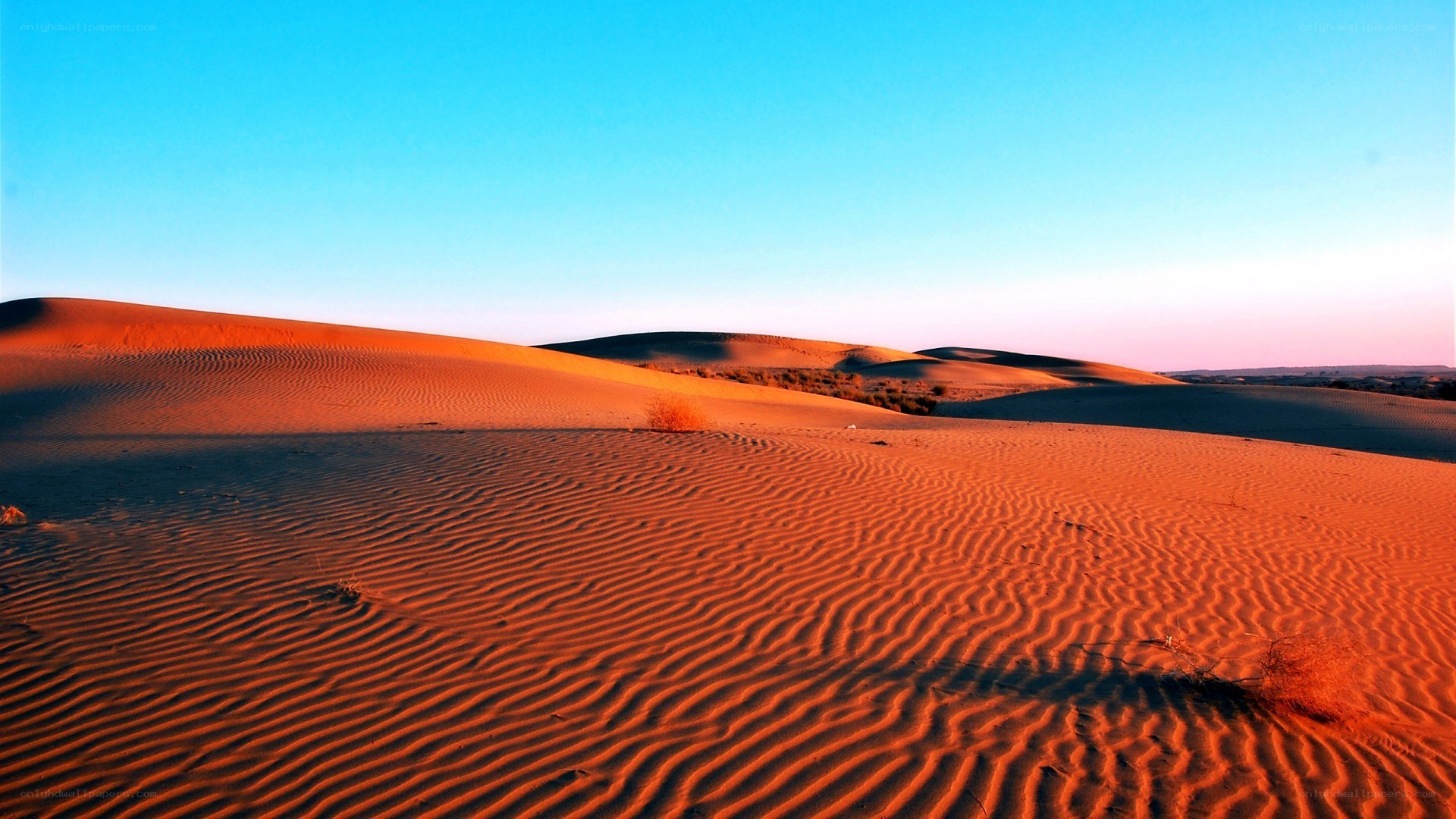 Desert dunes at sunset