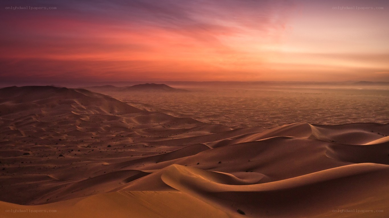 Desert dunes at sunset