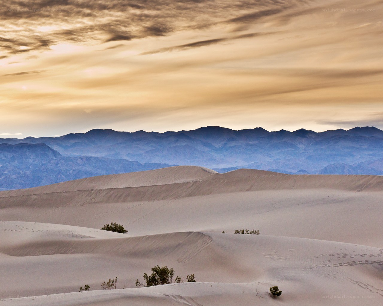 Desert dunes at sunset