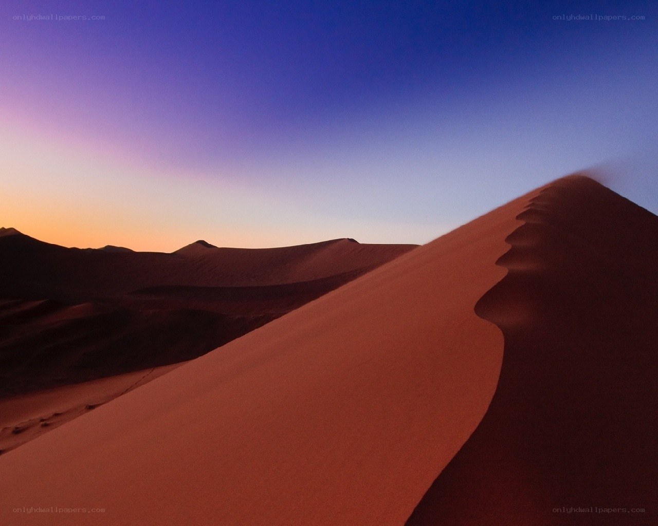 Desert dunes at sunset