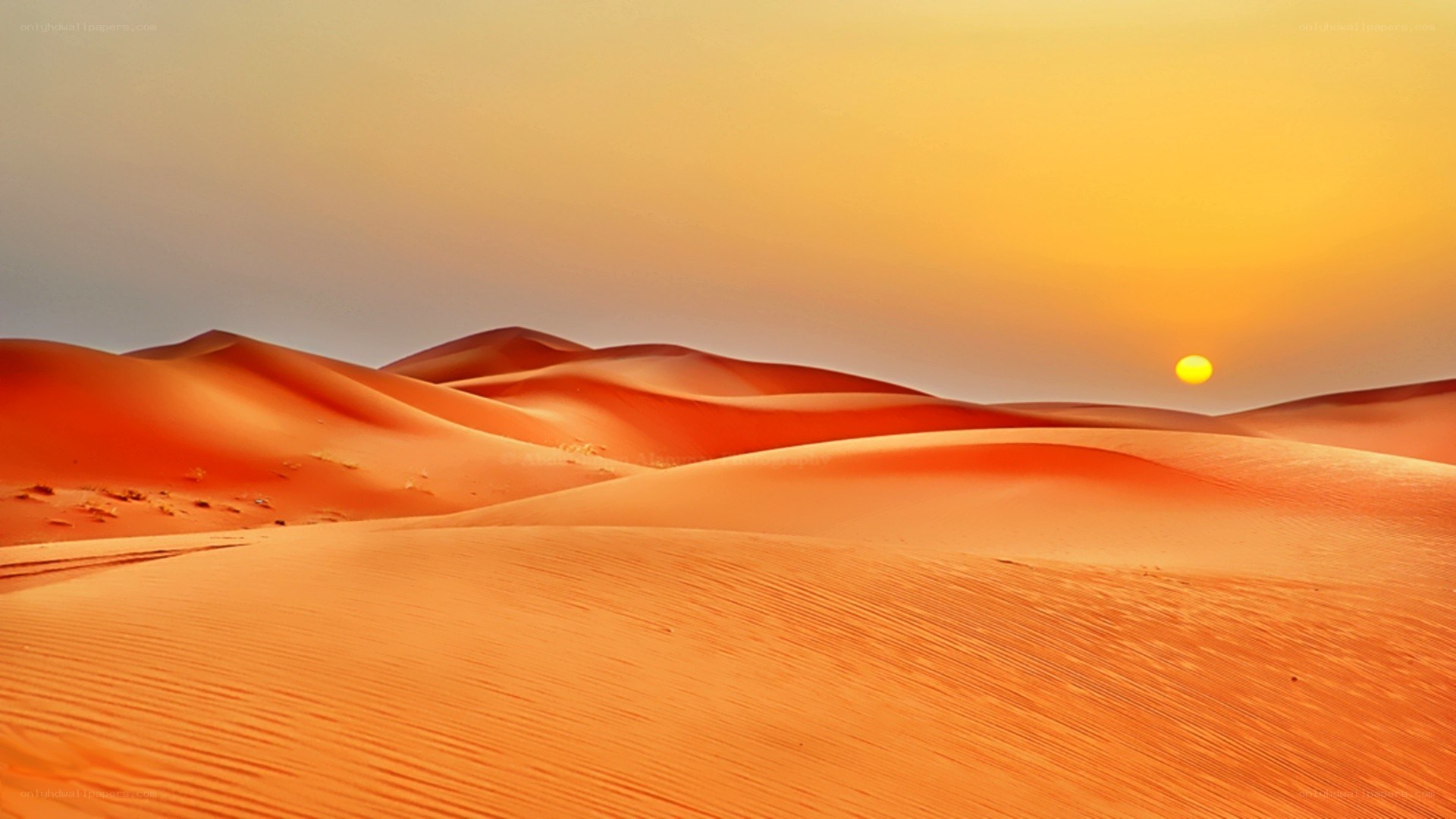 Desert dunes at sunset