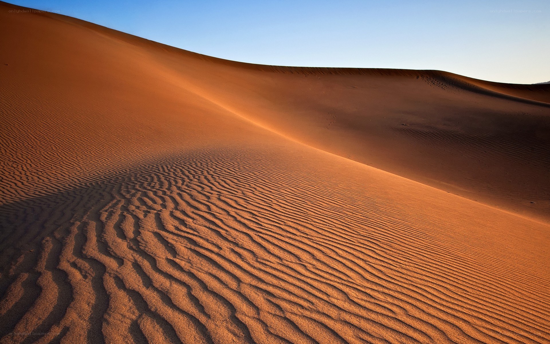 Desert dunes at sunset
