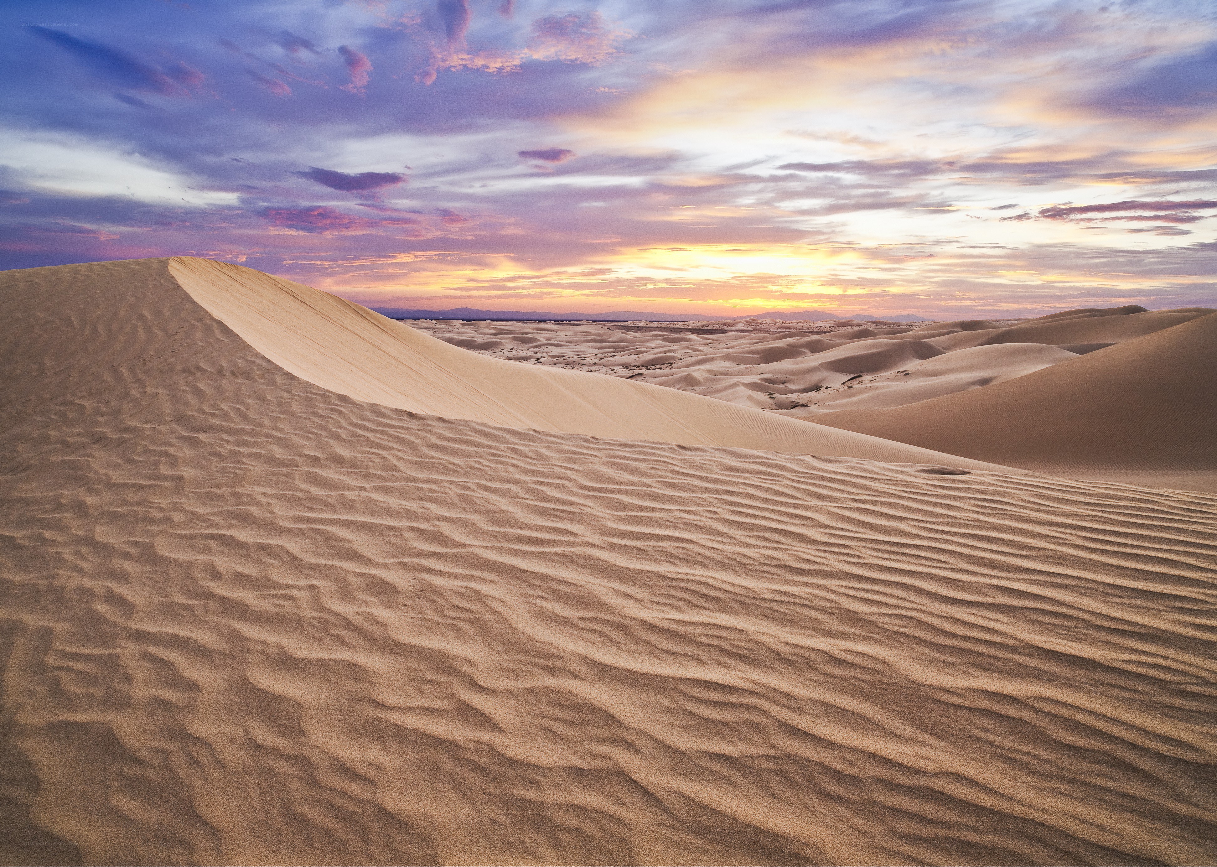 Desert dunes at sunset