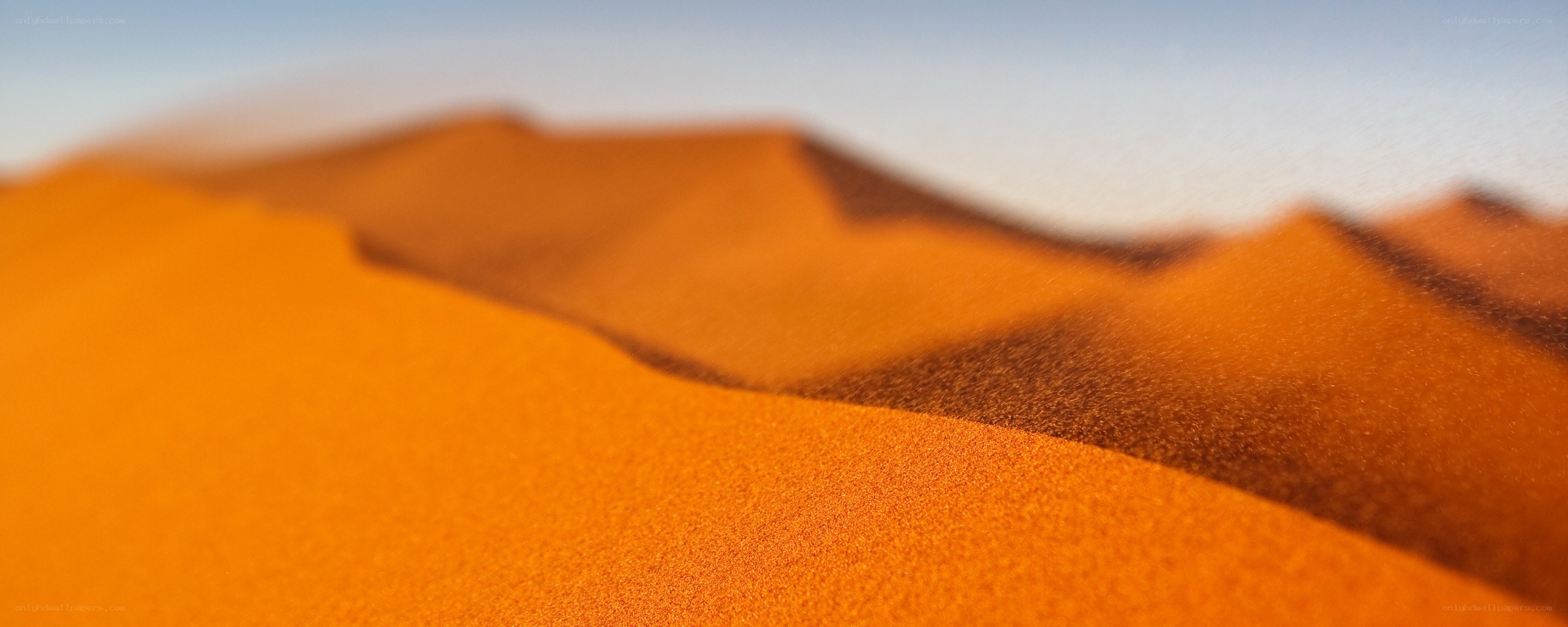 Desert dunes at sunset