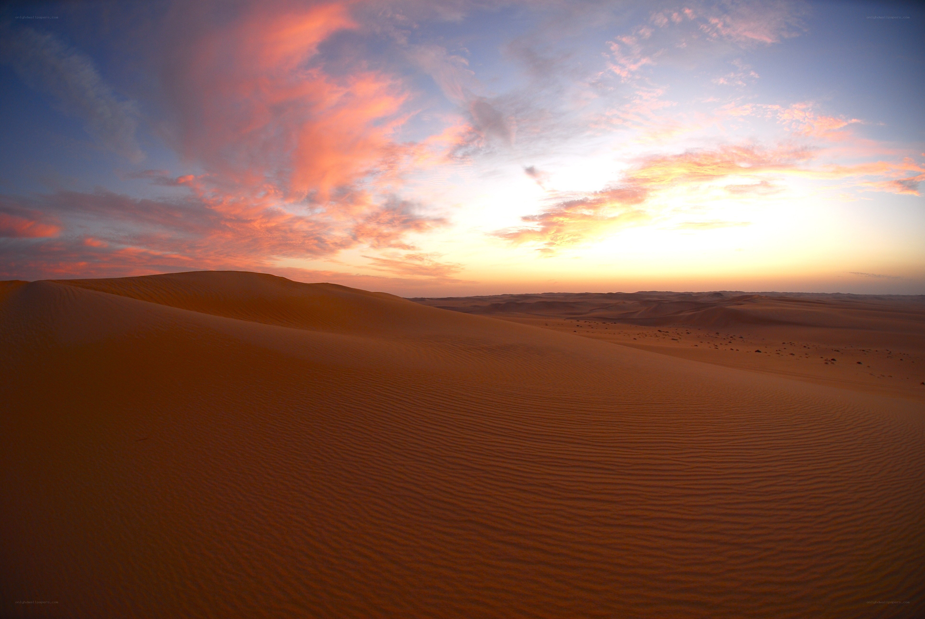 Desert dunes at sunset