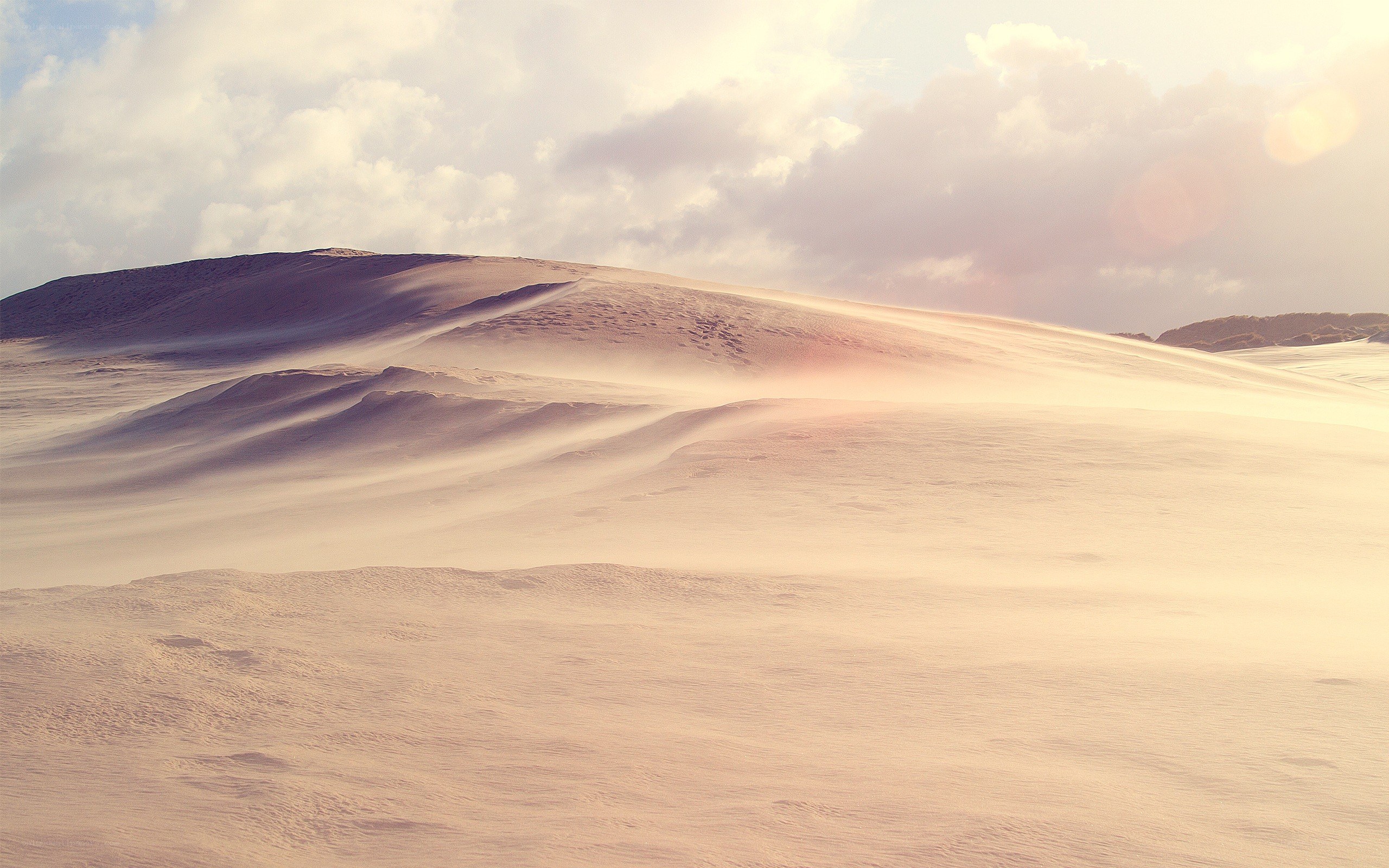 Desert dunes at sunset