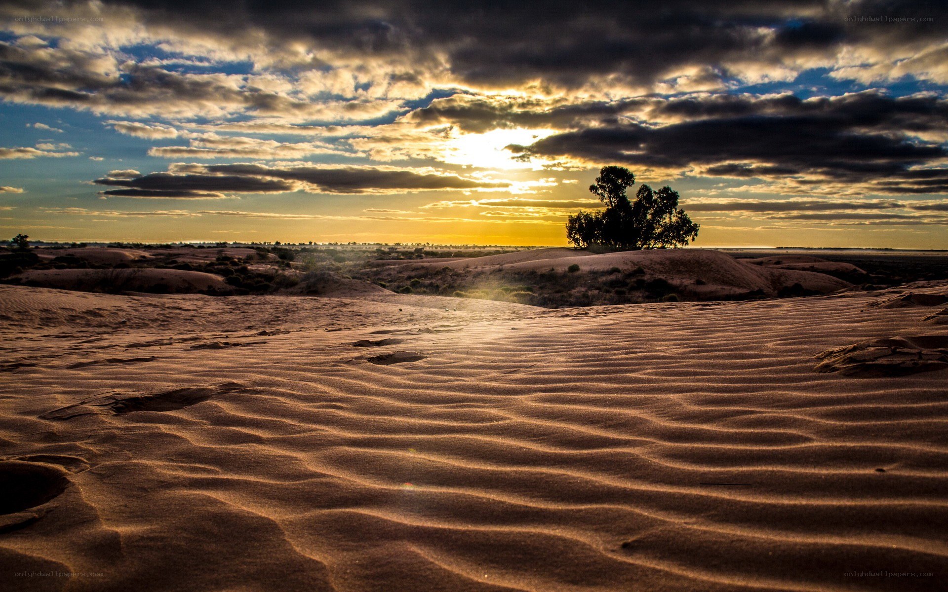 Desert dunes at sunset