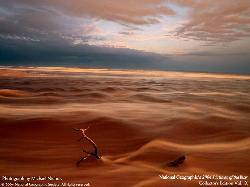 Desert Dunes at Sunset