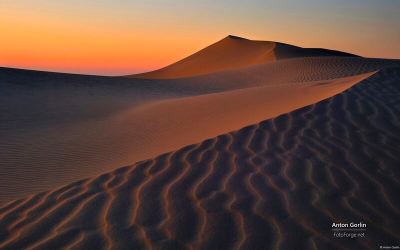 Desert dunes at sunset