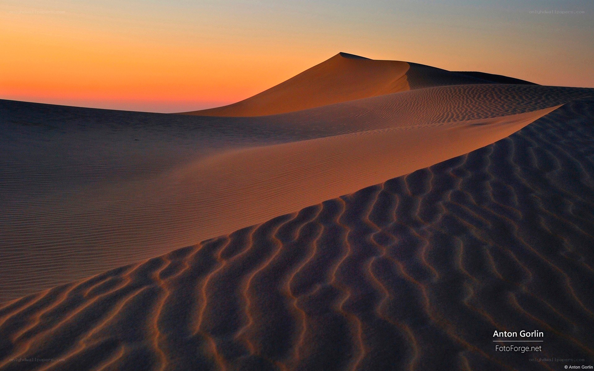 Desert dunes at sunset
