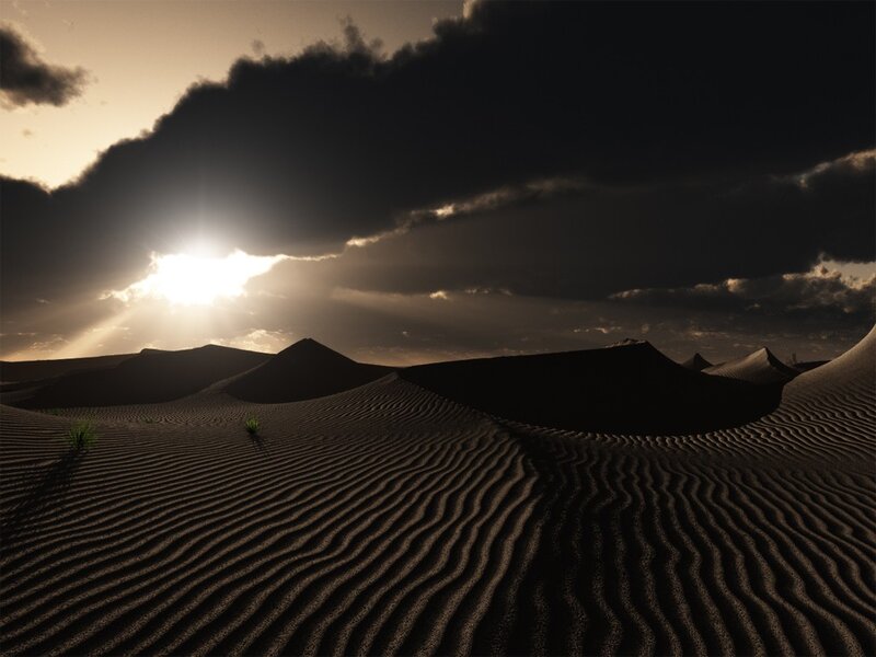 Desert dunes at sunset