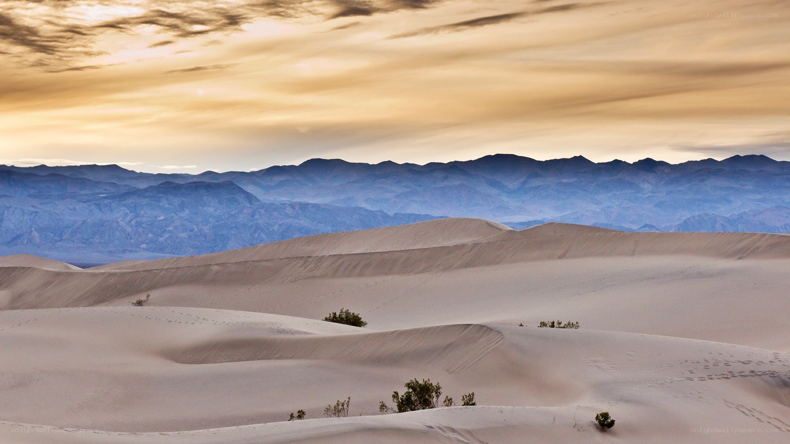 Desert dunes at sunset