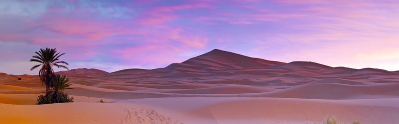 Desert dunes at sunset