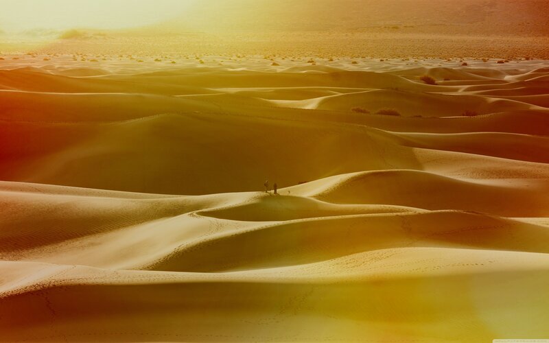 Desert dunes at sunset