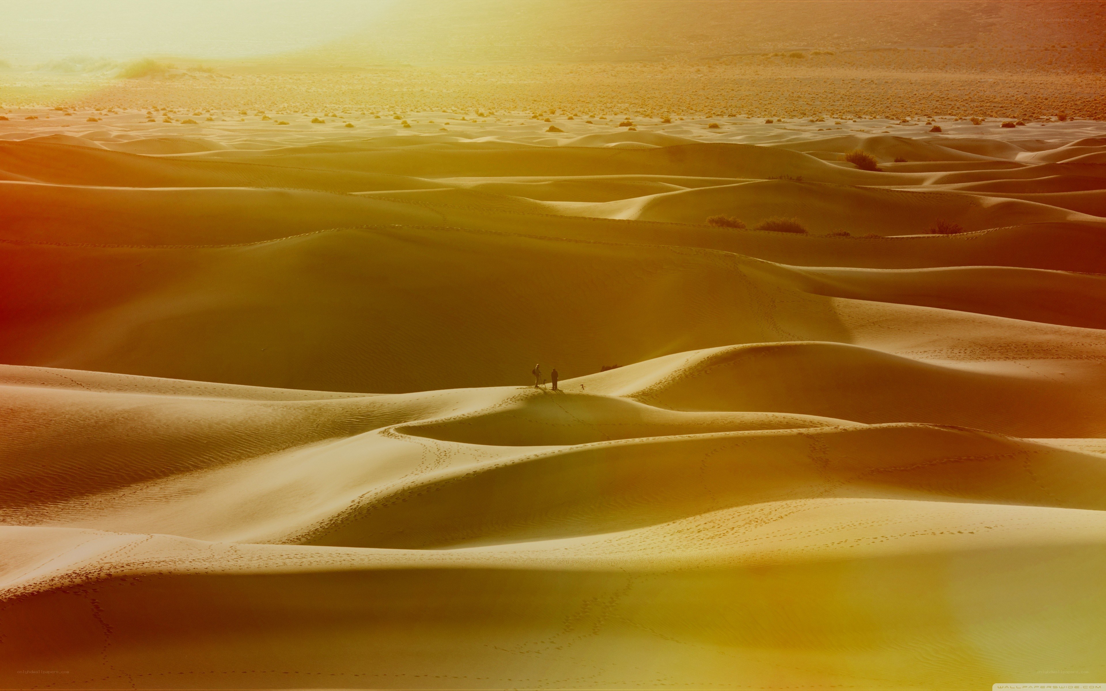 Desert dunes at sunset