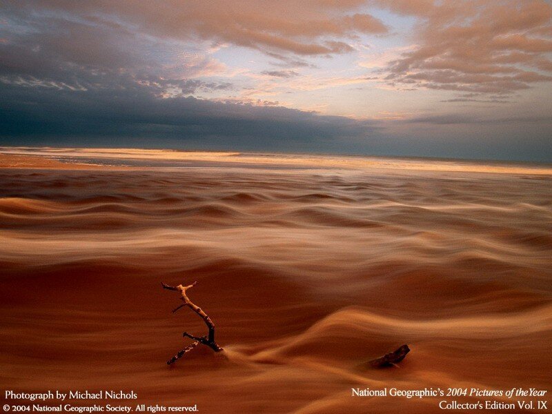 Desert Dunes at Sunset — Brown