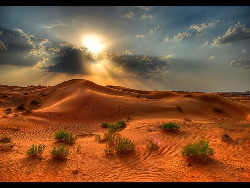 Desert Dunes at Sunset — Orange, Dramatic, Photograph