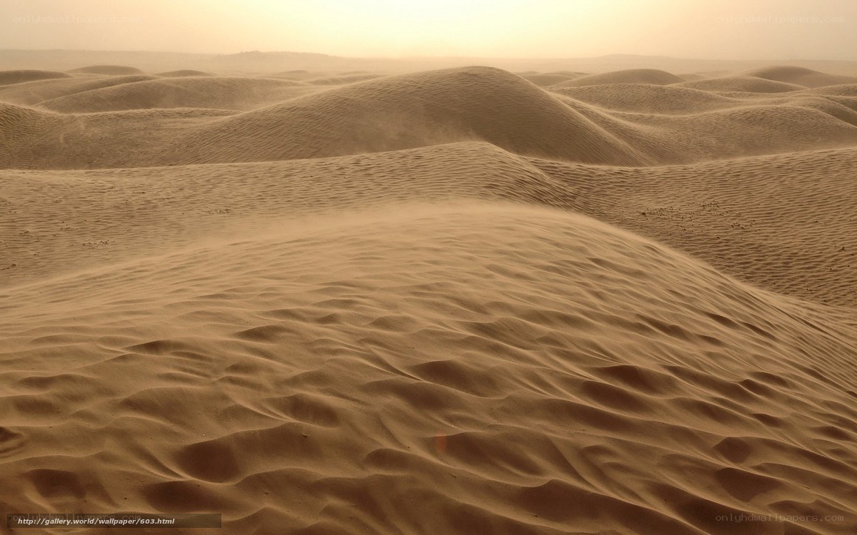 Desert dunes at sunset