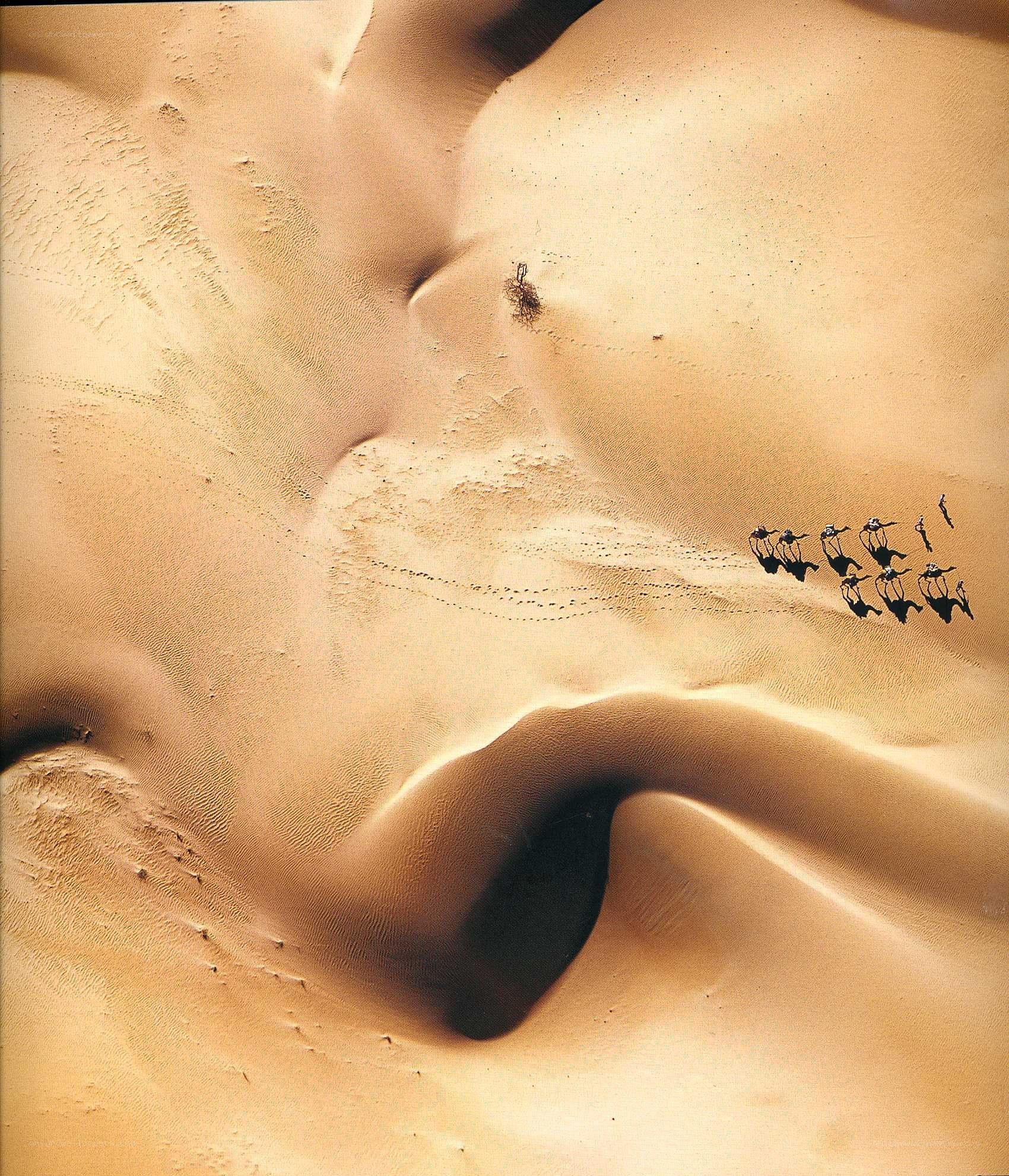 Desert dunes from above