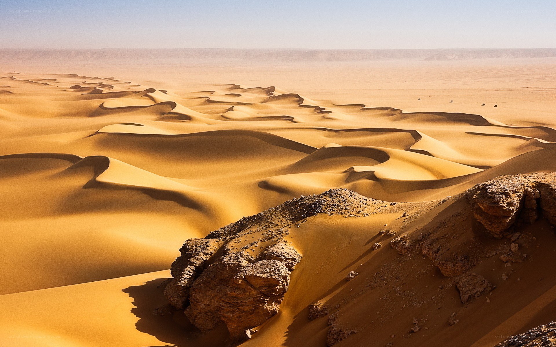 Desert dunes landscape