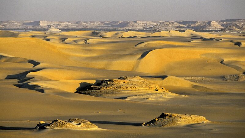 Desert dunes landscape