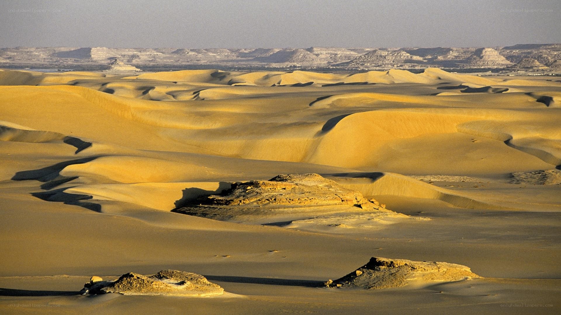 Desert dunes landscape