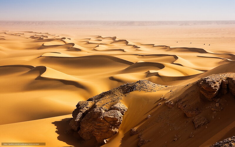 Desert dunes landscape